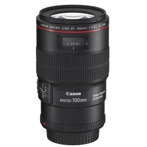 Восстановление переходных шлейфов Canon EF 100 f/2.8L Macro IS USM
